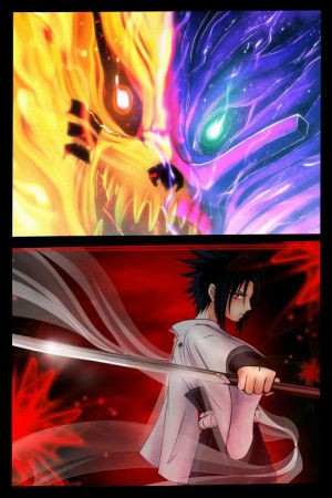 我的忍者 2024-06-25 15:08