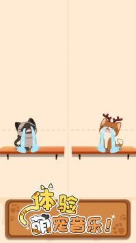 猫咪喵喵