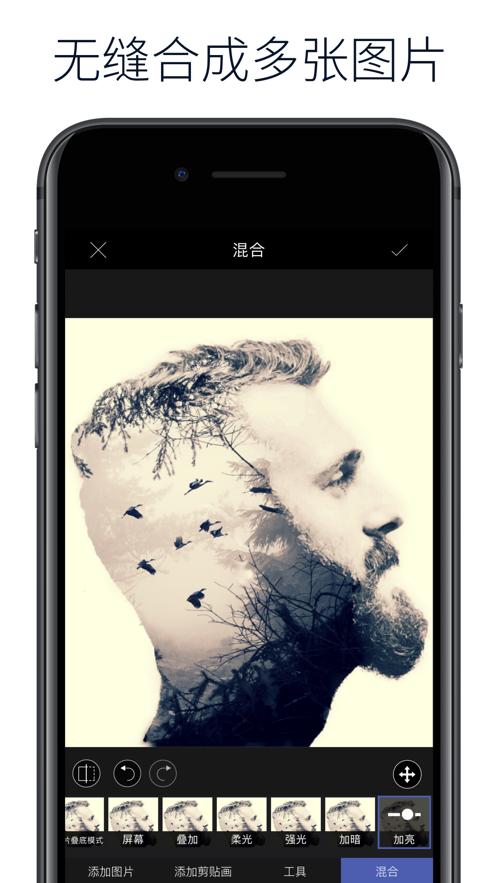 LightX Pro