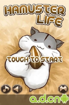 仓鼠的日常 Hamster Life v2.1.4截图0