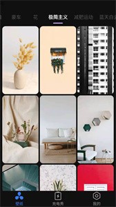 活力壁纸  v1.0.0