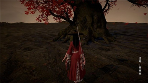 代号某某某 v1.0