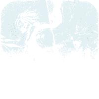 胡了三国最新版