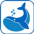 鲸鱼游戏盒子app官方版 