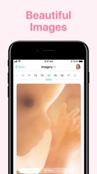 Pregnancy+ v3.2.5