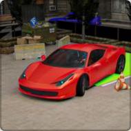 真正的停车场3D安卓版