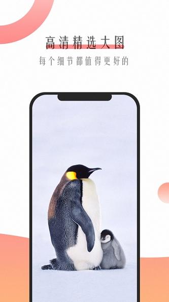 超美壁纸 v1.3