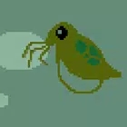 捕捉水蚤Daphnia Catcher