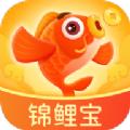 锦鲤宝APP最新版 