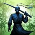 忍者勇士传奇游戏安卓手机版(Ninja Warrior)  v4.0.4