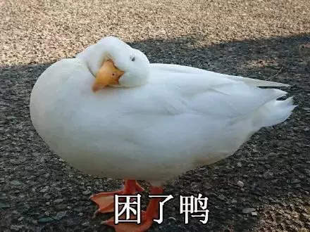 1609839695542784.jpg 1609839695542784.jpg