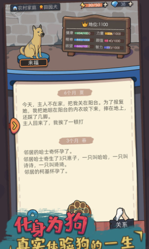 狗生模拟器 正版 v3.0.5