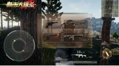 Battle Royale 3D  v1.0