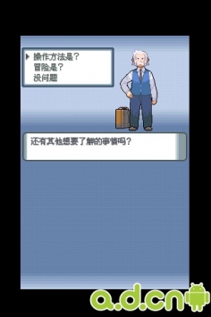 口袋妖怪钻石 v1.0