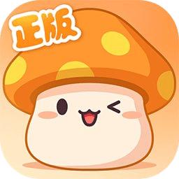 冒险岛枫之传说国服