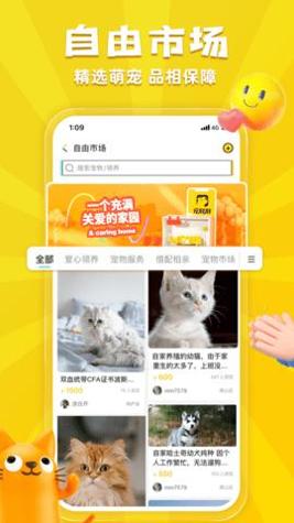 宠胖胖截图1