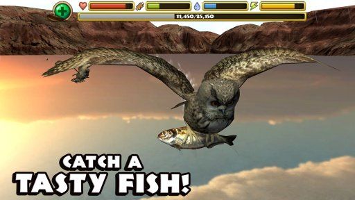 终极猫头鹰模拟器完美版大全最新版  v3.1.2