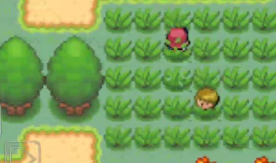 口袋妖怪超透黑2汉化金手指2.8最新完整版  v3.2.3