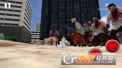 猫咪Z模拟器截图1