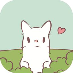 猫咪和汤官方版