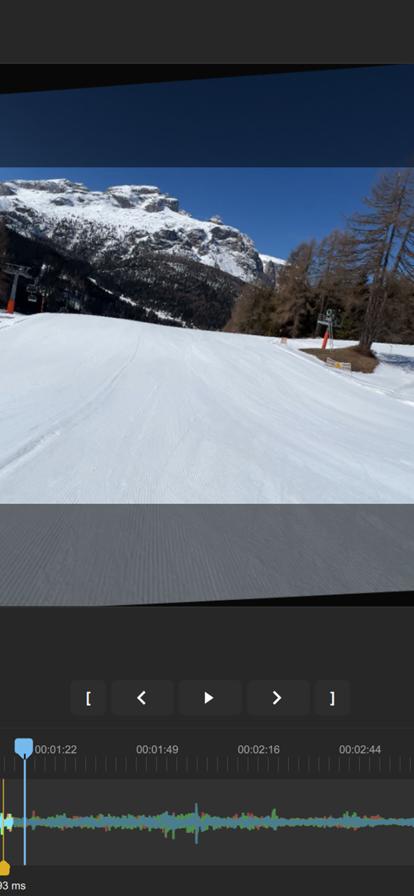 GyroCam专业摄像机  V 1.0