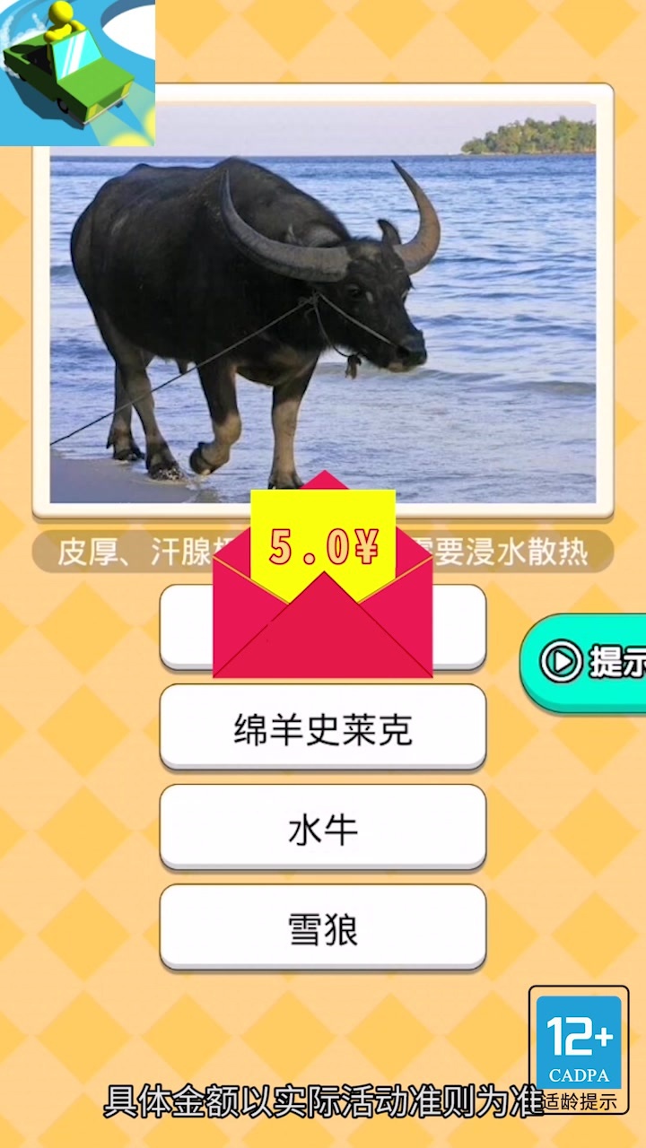 恐龙小车场游戏红包版  v4.4.3