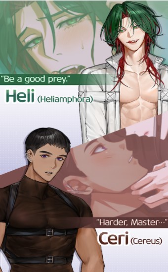 秘密穿越约会  v1.0.5