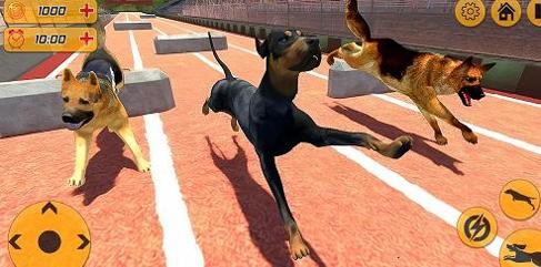 1637039324125749.png 1637039324125749.png