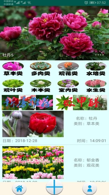 绿植花卉 2020-01-03 16:21