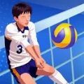 单挑排球游戏中文手机版