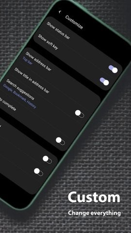 灵魂浏览器  v1.3.05