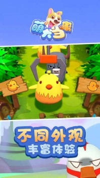 萌犬当家 2019-12-03 18:16