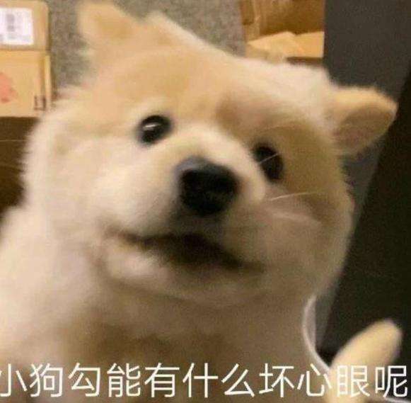 抖音小狗勾坏心眼多着呢表情包 v1.0