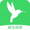 蜂鸟影视app