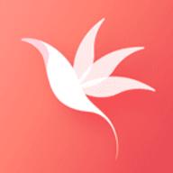 花信一对一平台