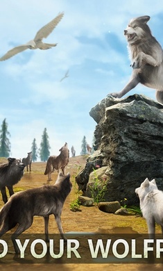 狼族崛起 国际服 v3.0.5