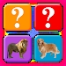 儿童记忆游戏Memory Game