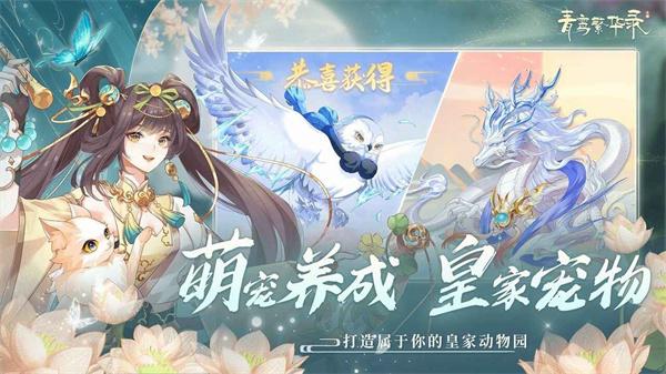 青鸾繁华录羽卫