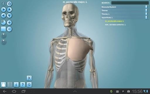 Anatomy 3D 版本:v1.47