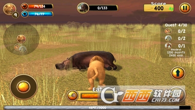 野生狮子模拟器3D v2.0