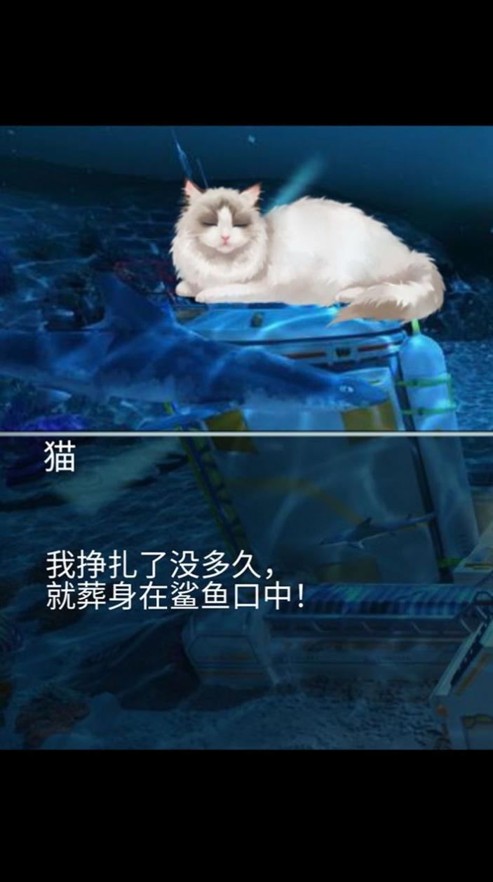 猫生煎熬 v1.0