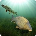 3DCARP钓鱼模拟器中文版正版游戏下载 10.3