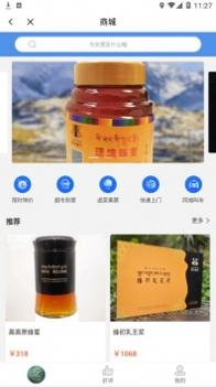 马上理塘 v3.0.5