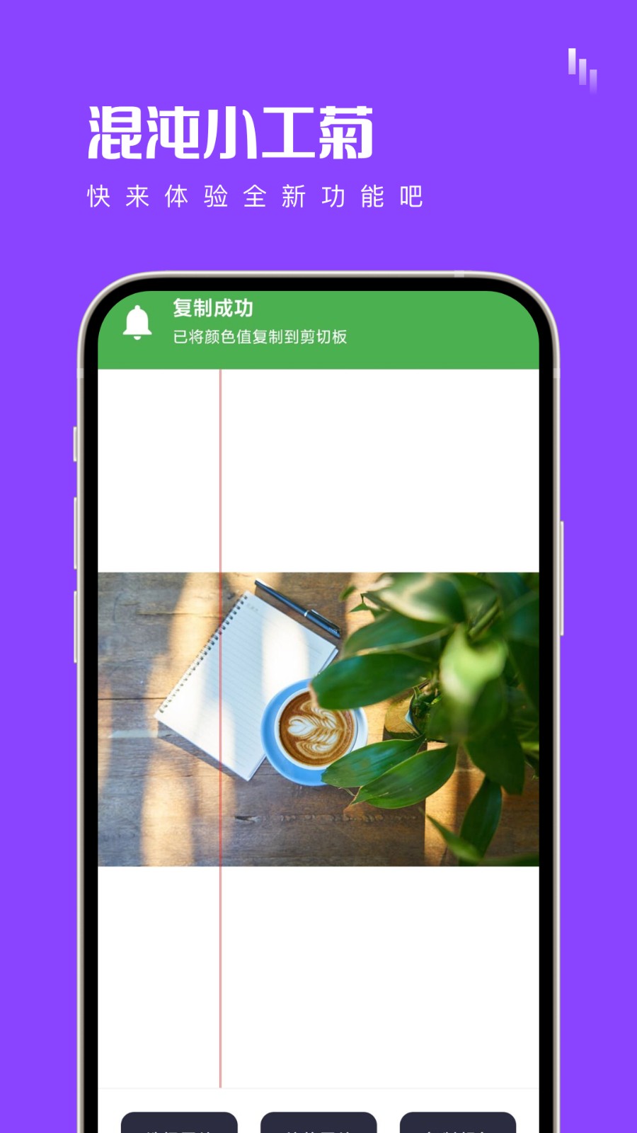 混沌小工菊  v1.0.0