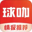 球咖