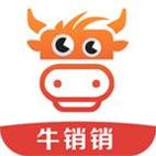 牛销销