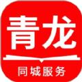 掌上青龙