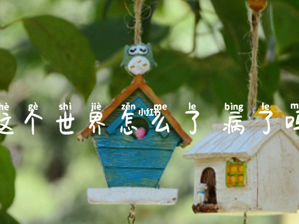 这个世界怎么了图片.jpg 这个世界怎么了图片.jpg