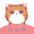 橘猫去水印
