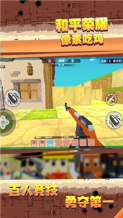 和平荣耀像素吃鸡 2024-06-25 15:08